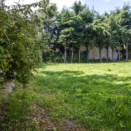 Savia Villa Cozzana